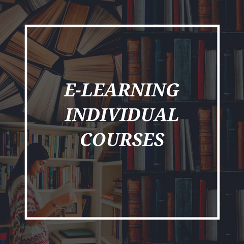 Individual E-Learning Courses