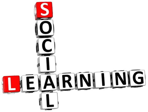 SOCIAL LEARNING
